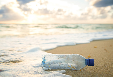 recogida de residuos en la Playa